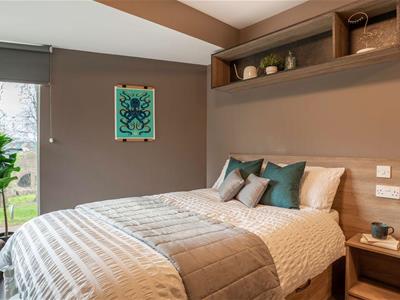 Picture 65